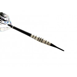 Rayline Sport Dartpfeile mit Kunststoffspitze Gefräster Metall Barrel (poliert) für elektronische Dartscheibe u. eDart